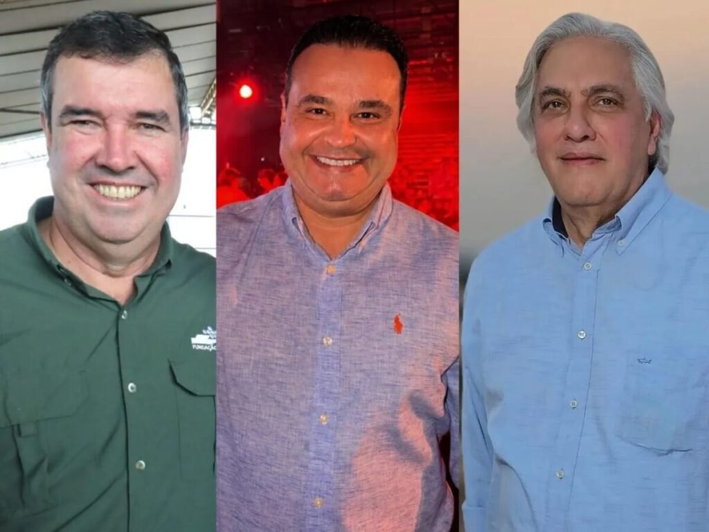 2ª pesquisa Quaest: veja a intenção de voto para governo de MS por gênero, idade, escolaridade, renda, religião, cor e posicionamento político