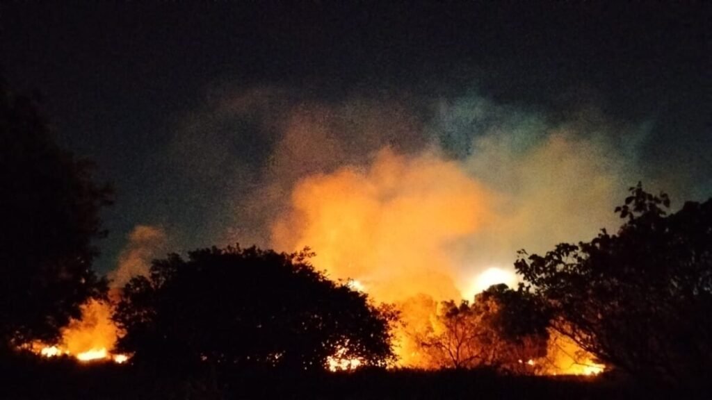 Bombeiros combatem incêndio em área de vegetação na UFRN
