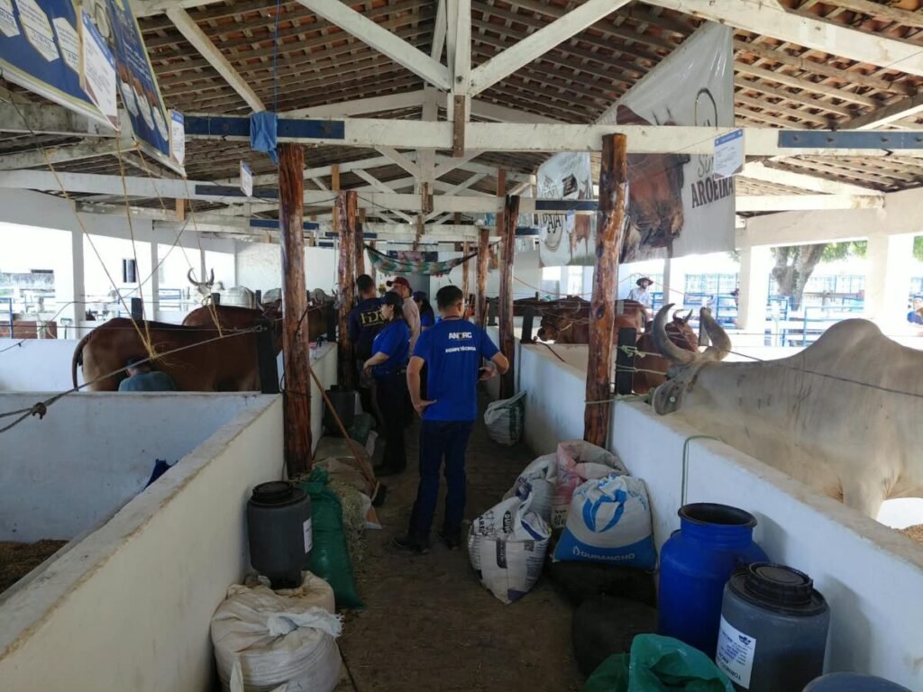Festa do Boi 2026 inova com análise da qualidade do leite para aprimorar produção no RN