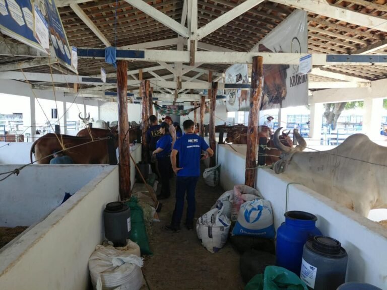 Festa do Boi 2026 inova com análise da qualidade do leite para aprimorar produção no RN