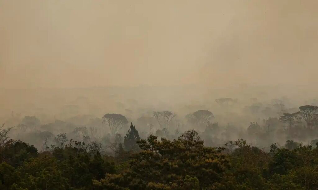 Força Nacional do SUS apoia atendimentos no Amazonas após incêndios