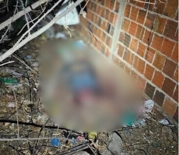 Homem é morto e decapitado durante ataque a tiros na zona rual de Ipanguaçu
