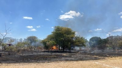 Incêndio atinge vegetação no Parque Municipal de Mossoró e visitantes são retirados às pressas