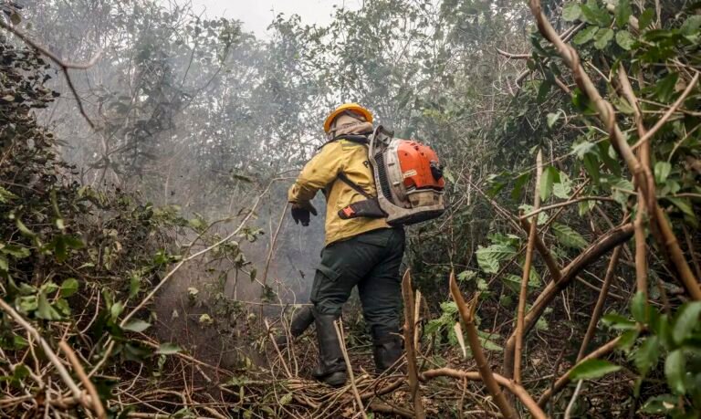 Incêndios no Amazonas resultam de ação humana, diz ministro