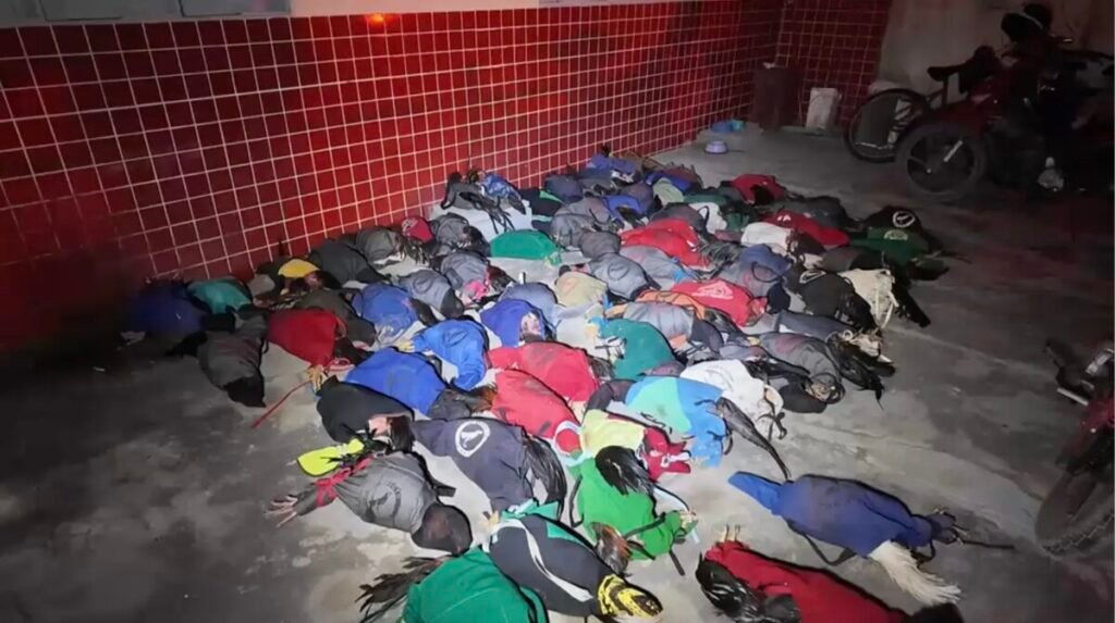 Polícia apreende 77 galos de briga e conduz mais de 50 pessoas à delegacia em Mossoró