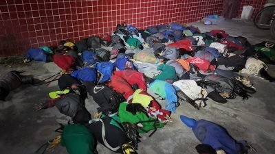 Polícia Militar Ambiental fecha rinha de galos, apreende 77 animais na zona rural de Mossoró