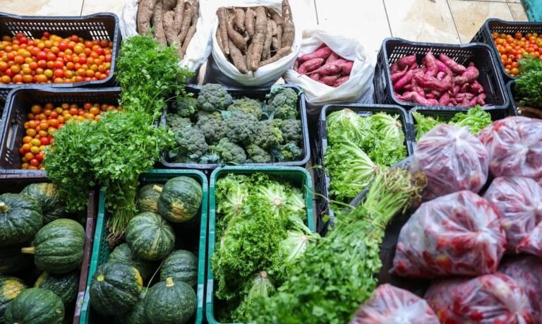 Segurança alimentar exige esforço coletivo e articulação